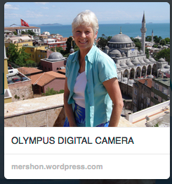 Ann Marie over Istanbul, no metadata, annmariemershon.com, amershon.edublogs.org